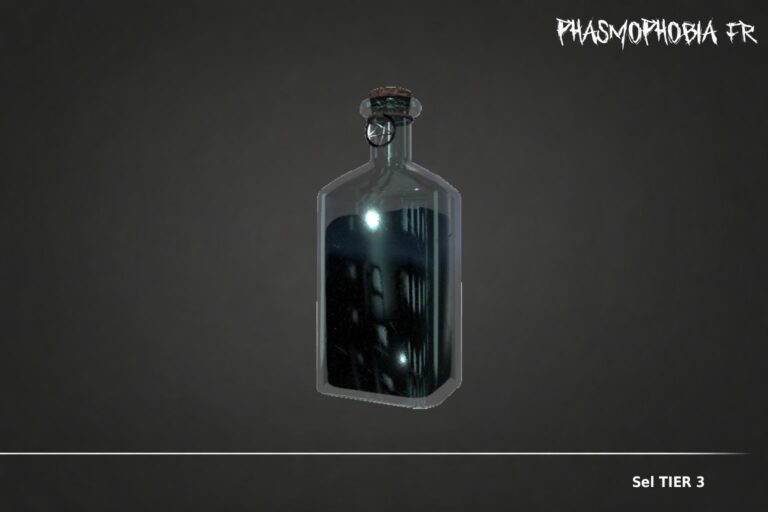 Sel TIER 3 - By Phasmo FR